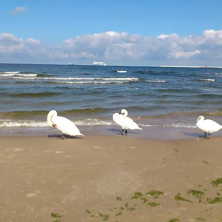 Sky Swinoujscie