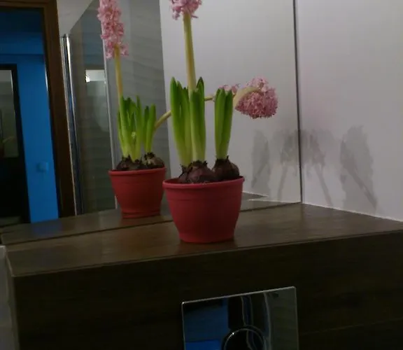 Ubytování v soukromí Sky Svinoústí